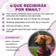 Curso DIY Caseta para perros para exterior, estructura de madera con tela de toldo + REGALO